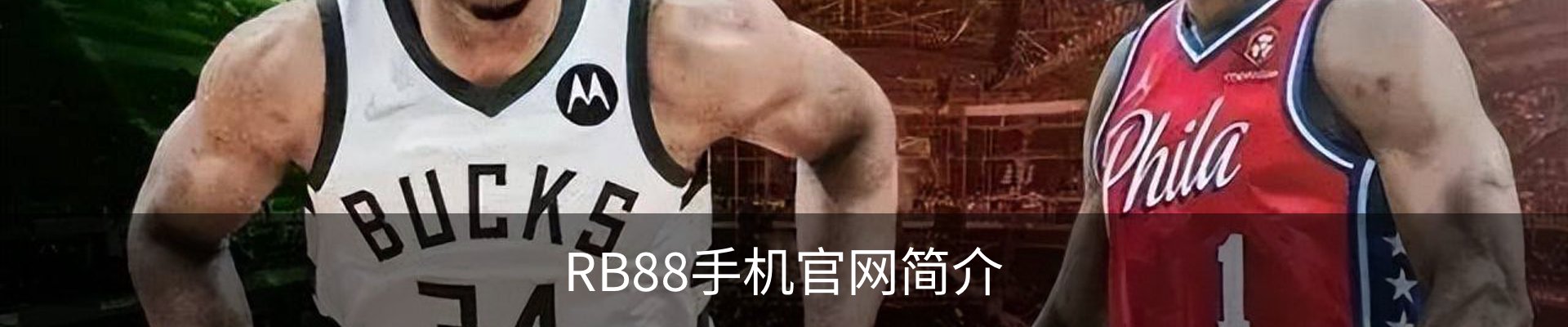 RB88手机官网简介